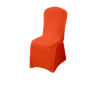Adult Chair Cover